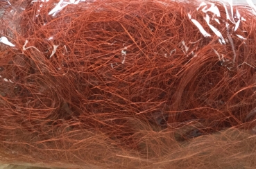 Sisal rost